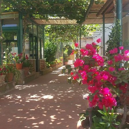 Villa Dei Fiori B&B Capri Dış mekan fotoğraf