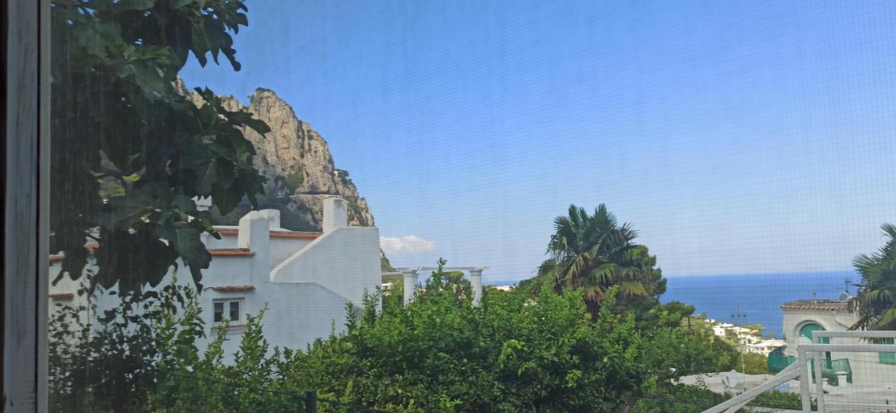 Villa Dei Fiori B&B Capri Dış mekan fotoğraf