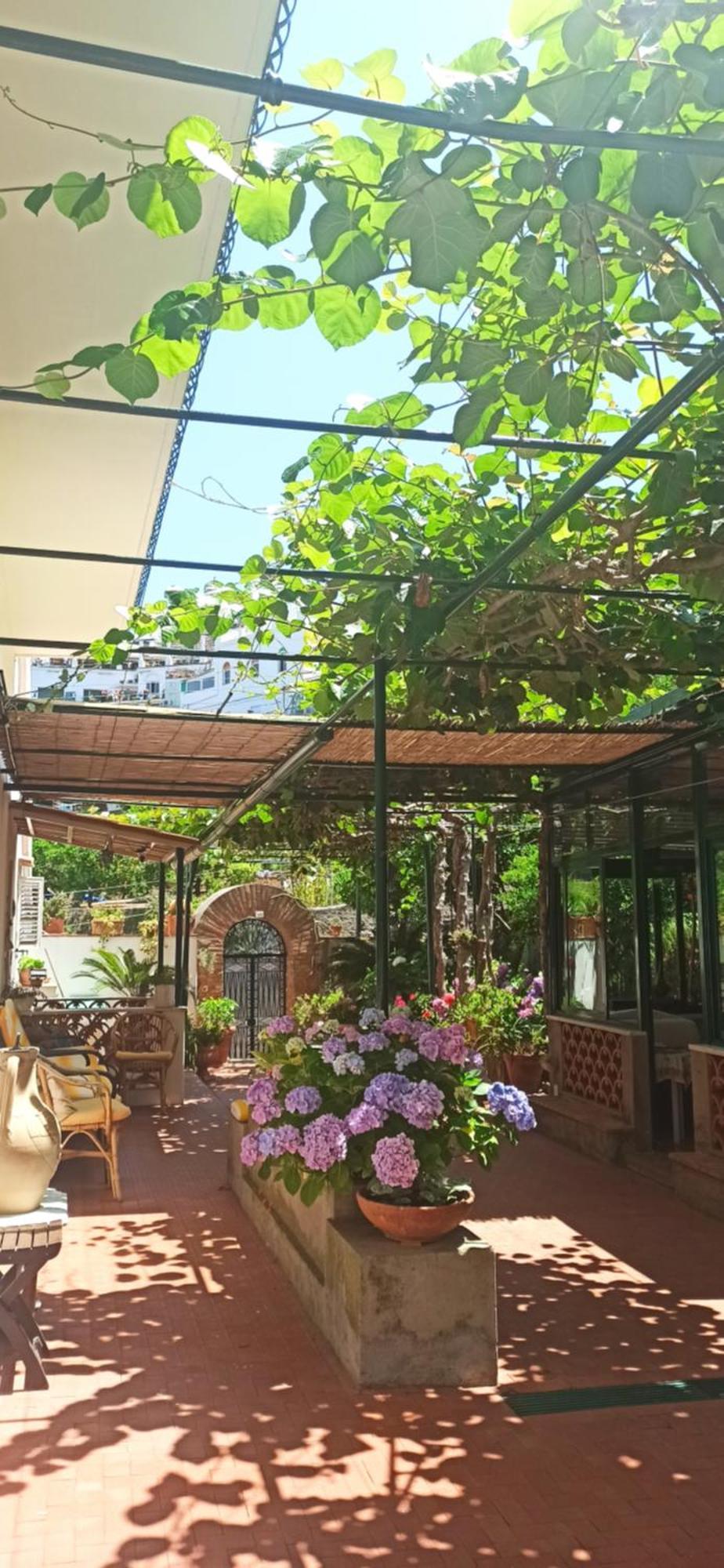 Villa Dei Fiori B&B Capri Dış mekan fotoğraf