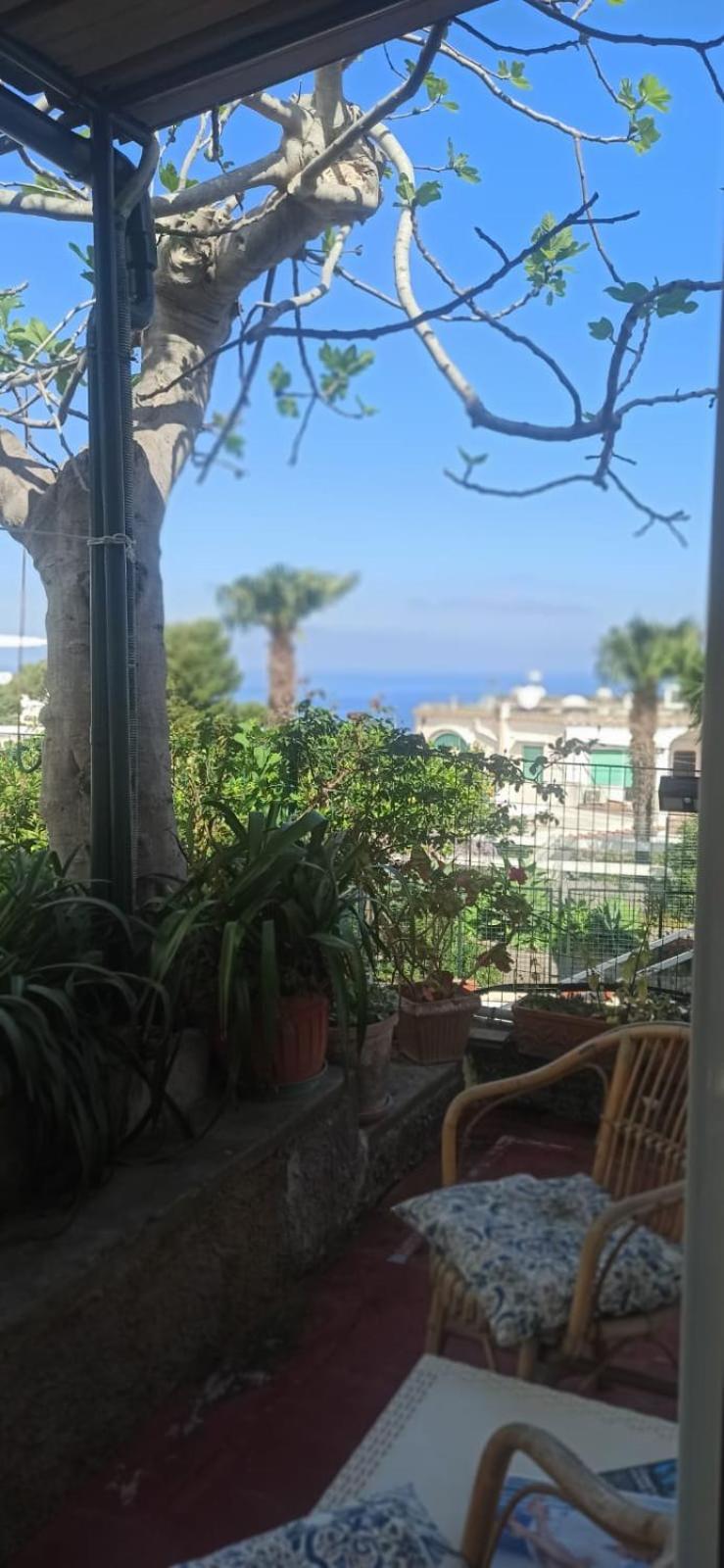 Villa Dei Fiori B&B Capri Dış mekan fotoğraf
