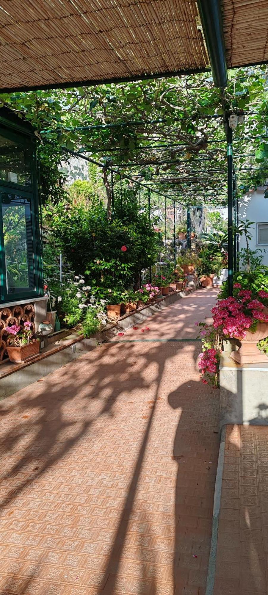 Villa Dei Fiori B&B Capri Dış mekan fotoğraf