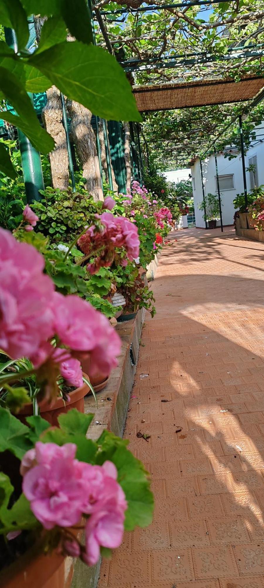 Villa Dei Fiori B&B Capri Dış mekan fotoğraf